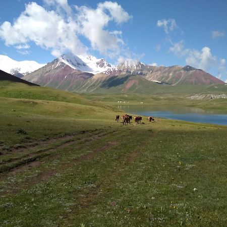 Pamir Nomad Yurt Camp Hotel Kara-Kavak Ngoại thất bức ảnh