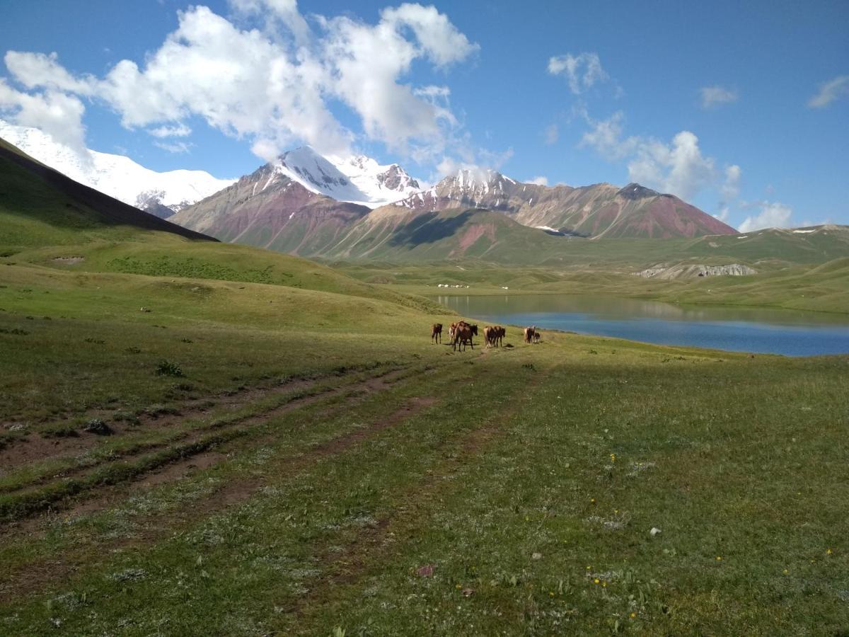 Pamir Nomad Yurt Camp Hotel Kara-Kavak Ngoại thất bức ảnh