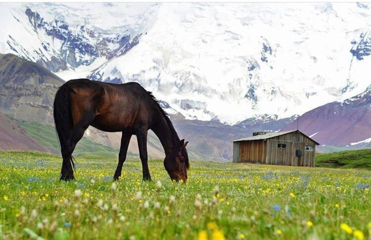 Pamir Nomad Yurt Camp Hotel Kara-Kavak Ngoại thất bức ảnh
